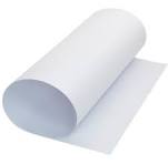 Cartulina Blanca