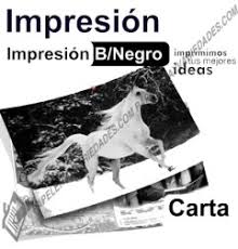 IMPRESION B/N T-CARTA