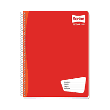 Cuaderno Prof Scribe C Chico